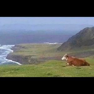 ACCEPTING ALL OFFERS